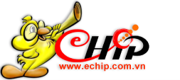 E-chip